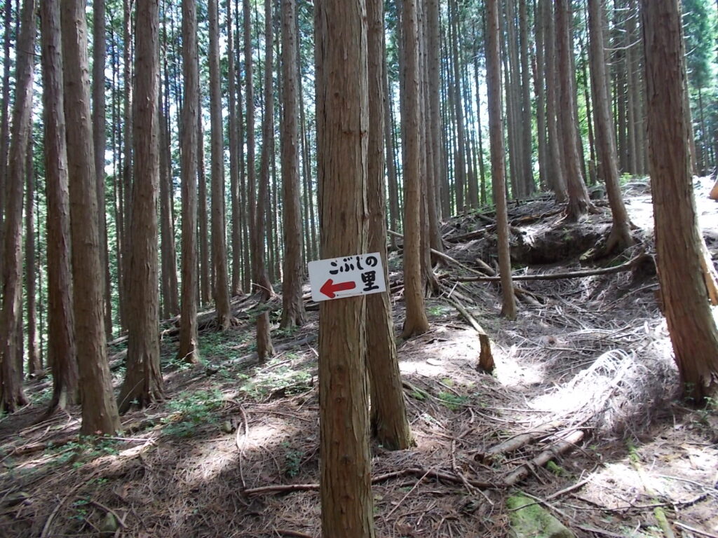 13：18　ここから左へ