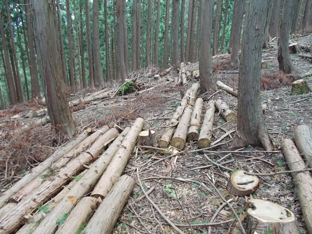 11：47　きれいに整理されてます。