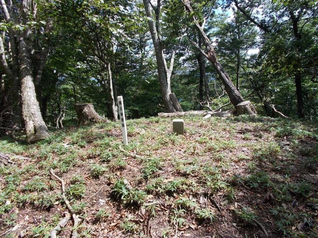 11：57　途中の三角点