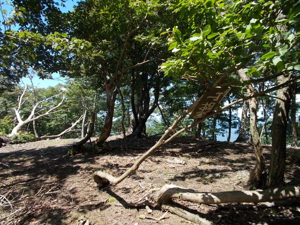 13：07　わかりにくいですが、鉄鈷山への案内板。これがなかなか頼りになります。