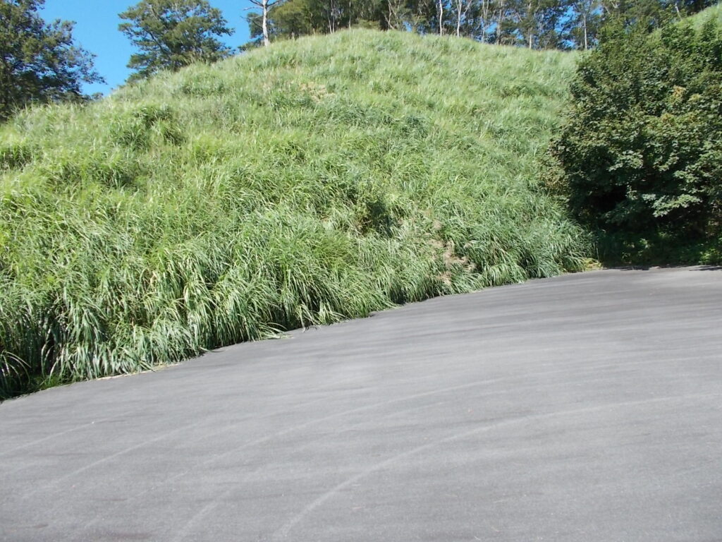 12：35　このススキだらけの斜面を登っていきます。背を超える高さがあるのでなかなか大変です。