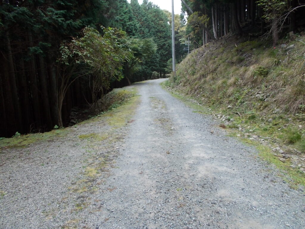 11：22　歩きやすい登山道、というよりたんなる林道。
