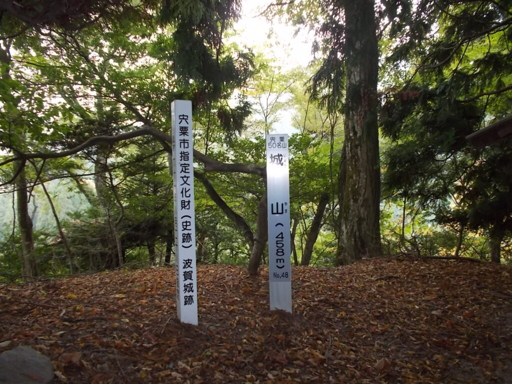 11：33　コメント波賀城の裏に登ると山頂の標柱がありました。