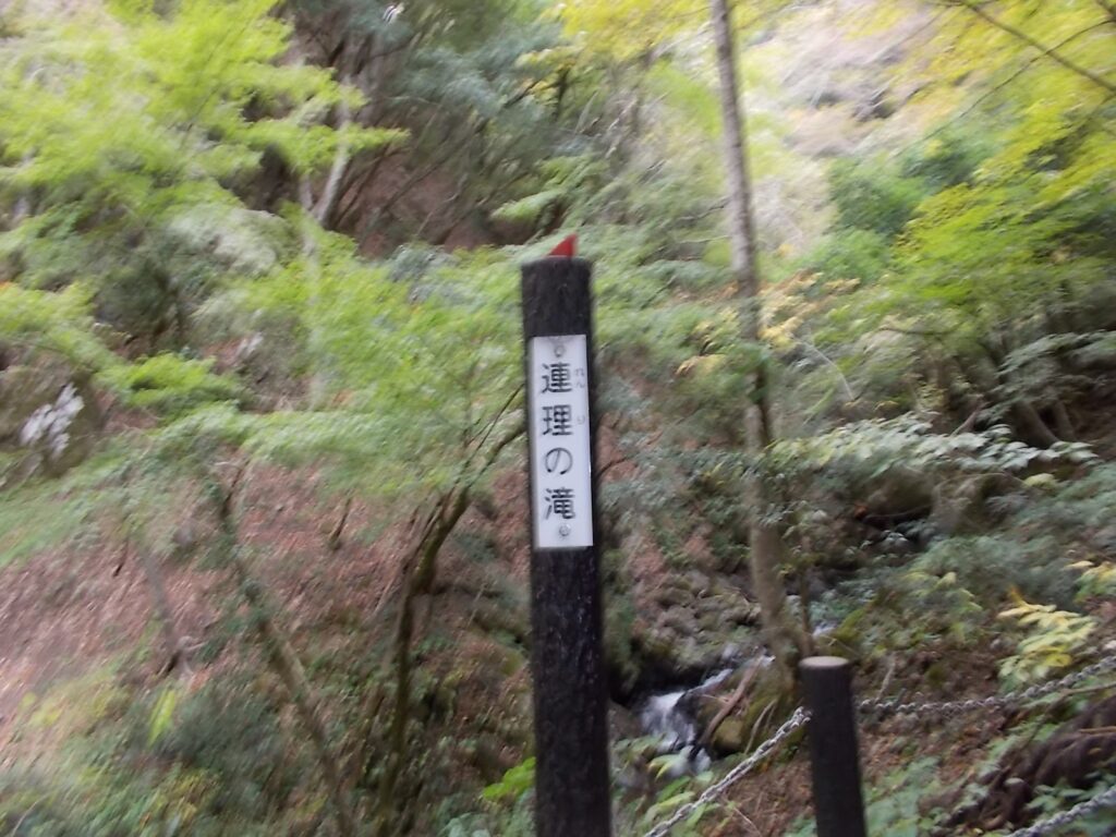 11：56　連理の滝