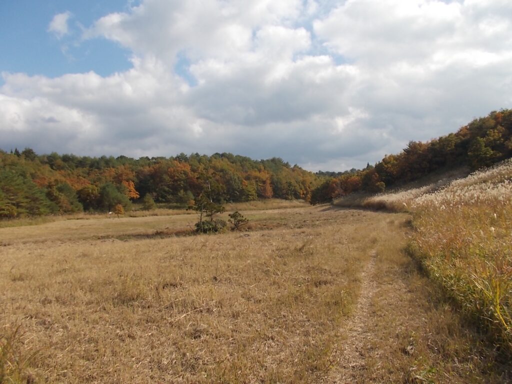 杉ヶ沢高原（すぎがさわこうげん）