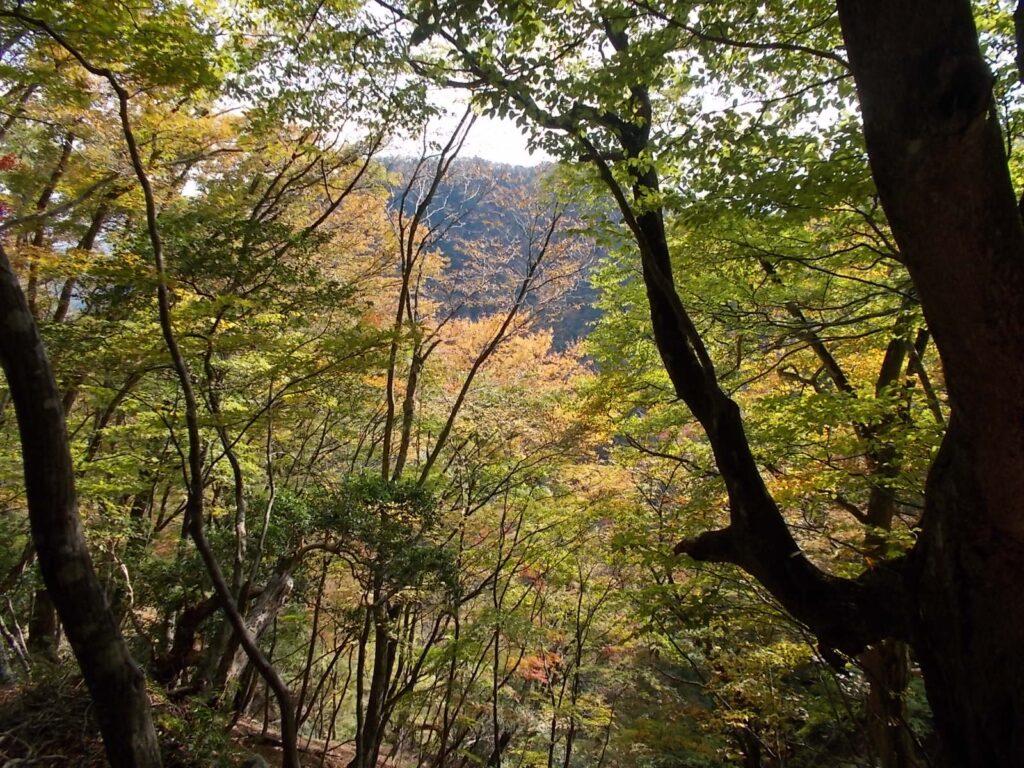 14：20　途中の紅葉