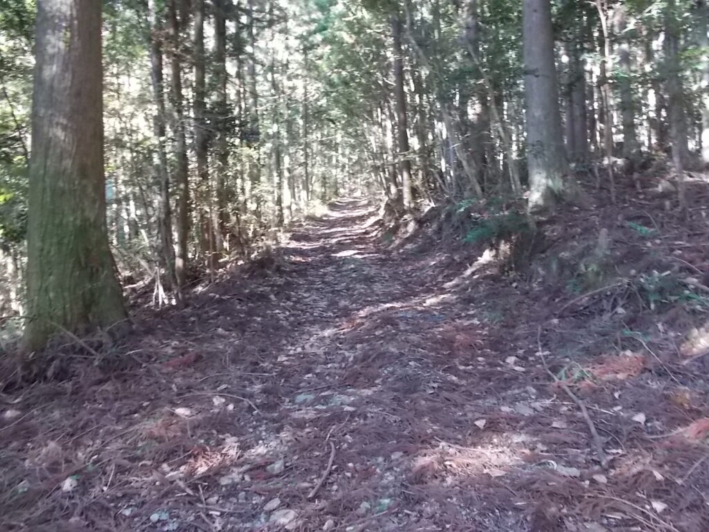 10：01　広い林道を歩きます。