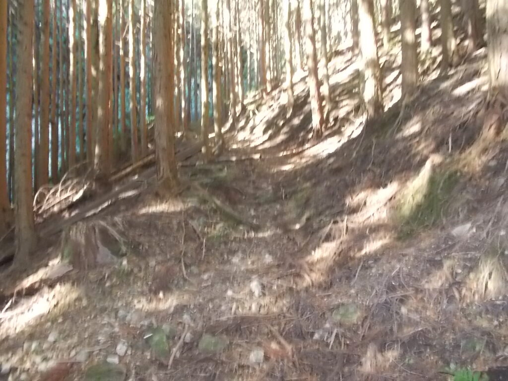 10：04　登山道になってきました。