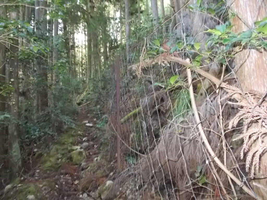 10：29　ネットに沿って進みます。