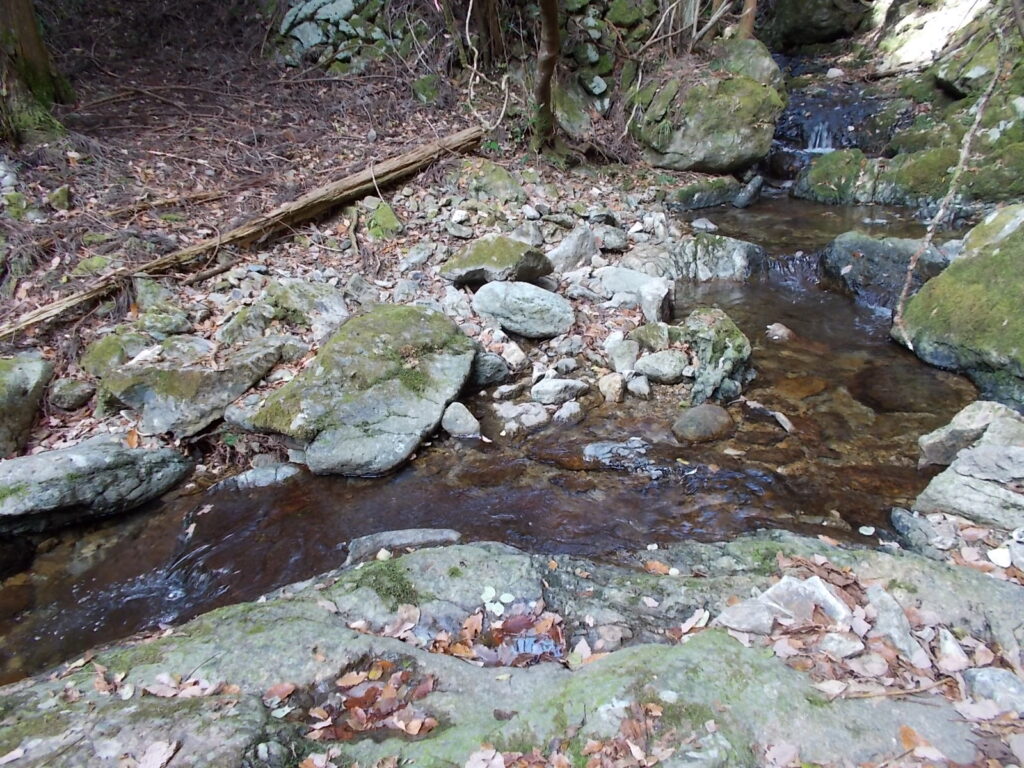 10：47　沢を渡ります。