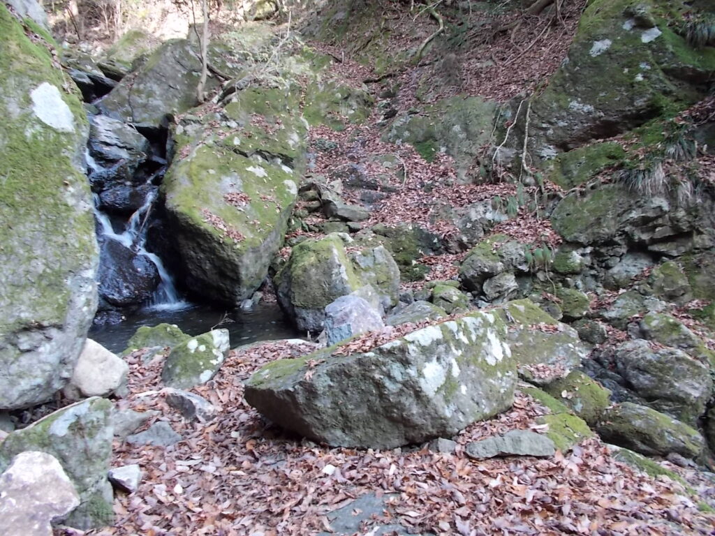 10：51　小さな沢の流れ