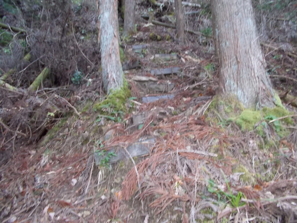 11：01　ここから急登が始まります。