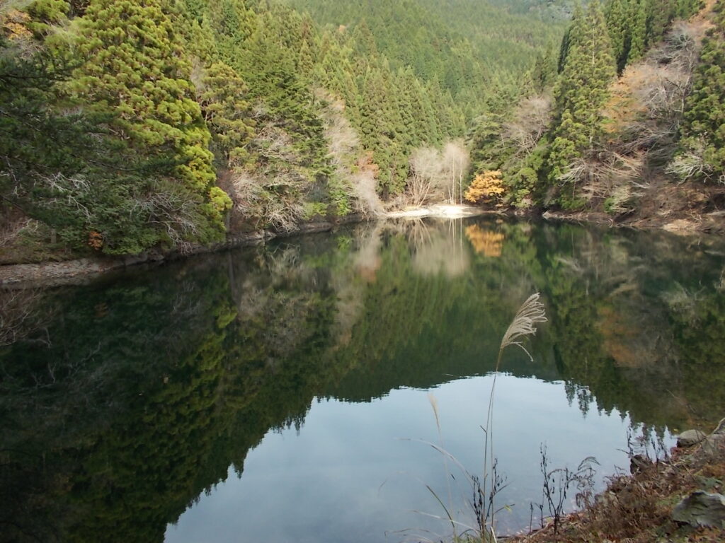 11：50　宮野大池