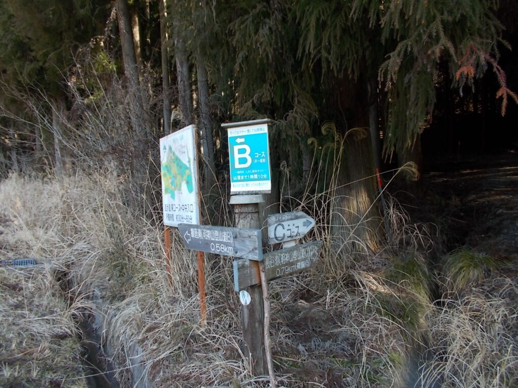 10:48 そしてすぐにBコースとの分岐。ここから右の暗い林へはいります。