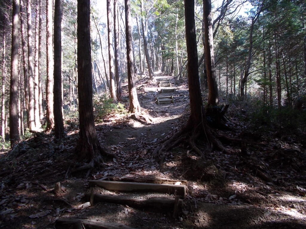 10:50 ゆるやかに上っていきます。