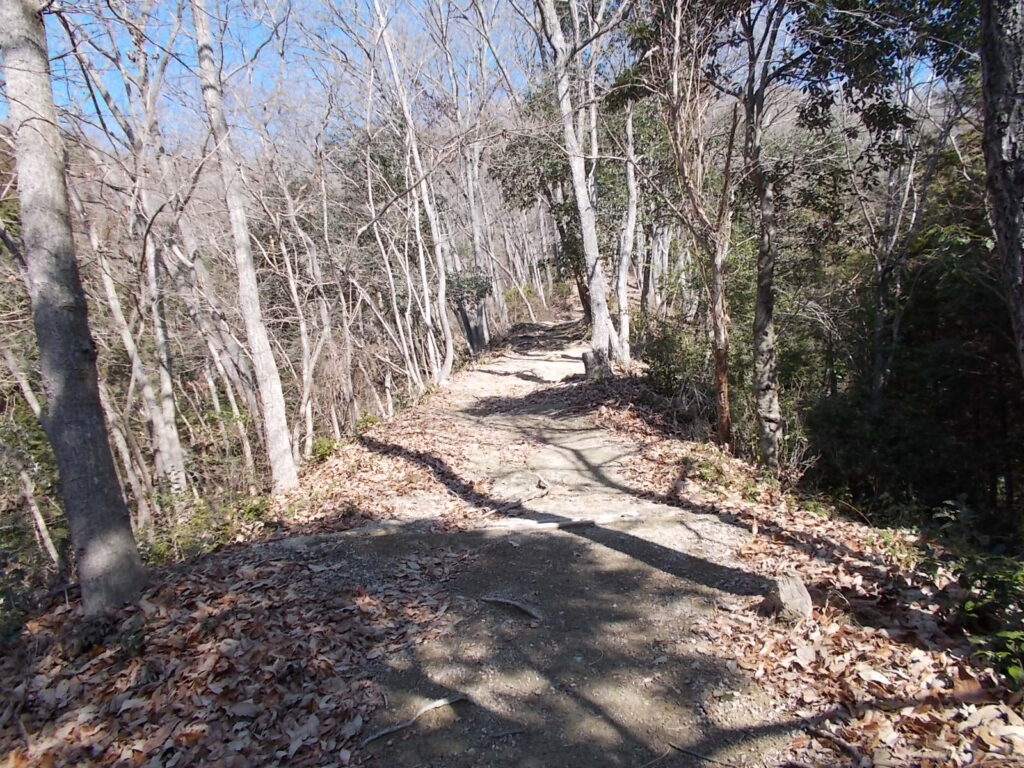 10:51 暗い林を出て、明るい登山道へ。