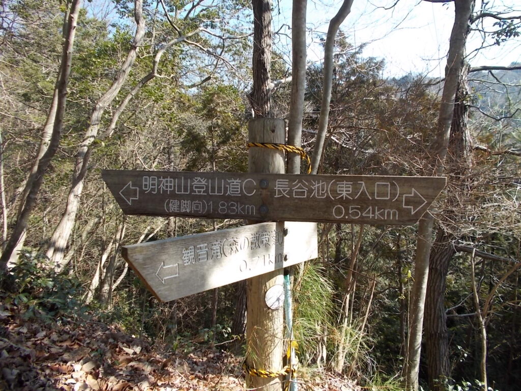 10:53 長谷池への分岐。ここは左へ