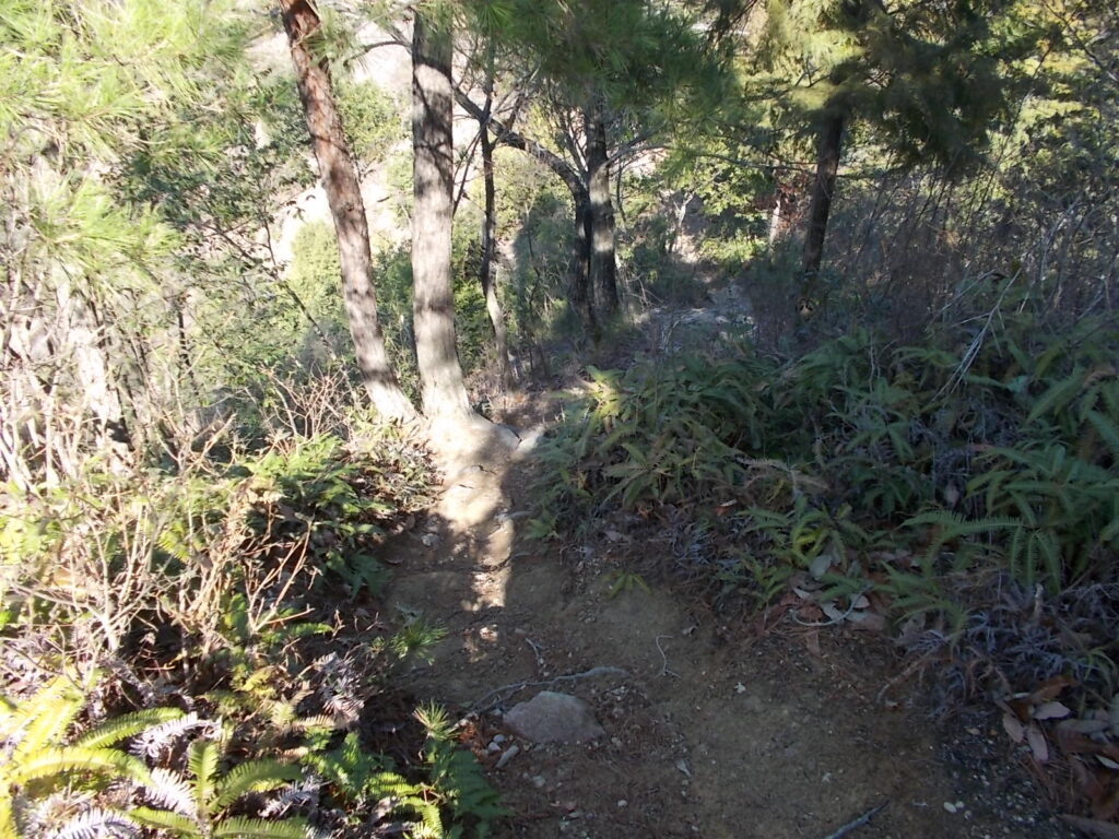 10:59 いったん下ります。せっかく上ったのに。