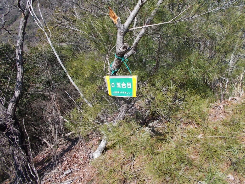 11:12 5合目です。