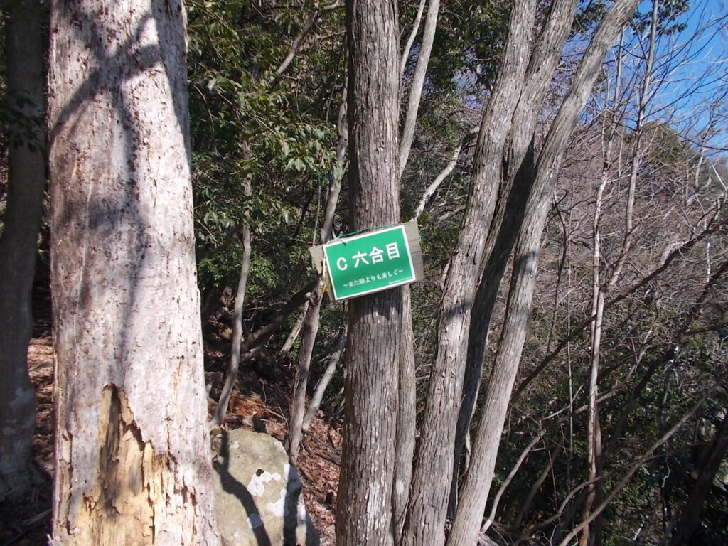 11:19 6合目です。