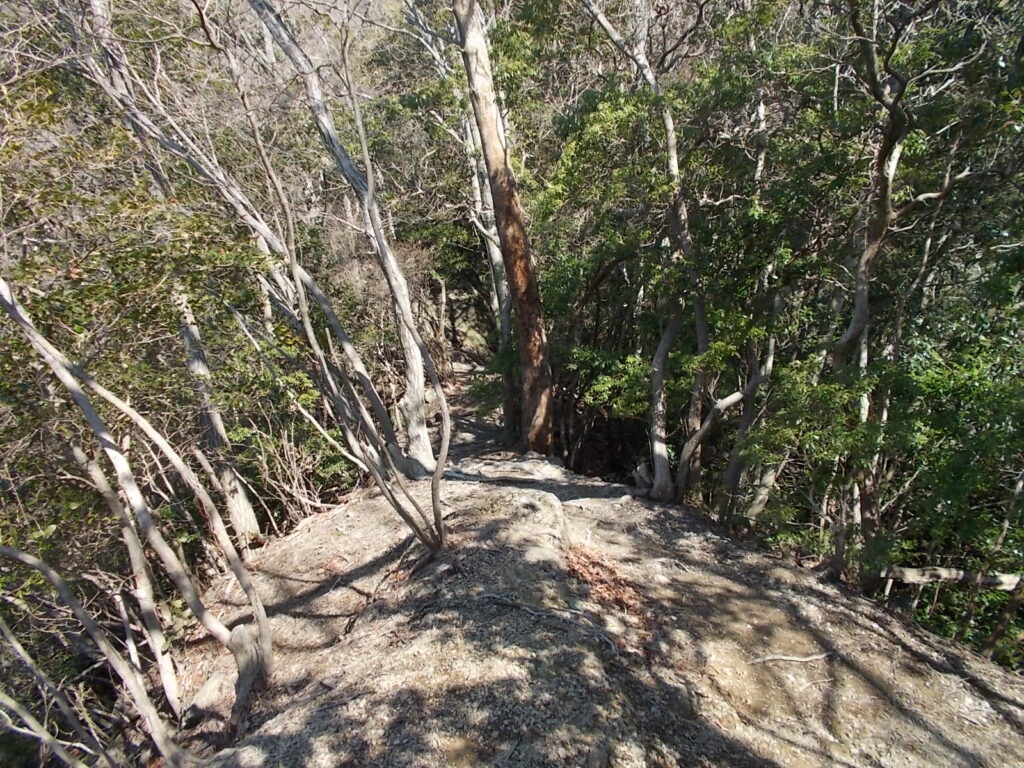 11:21 せっかく上ったのに、また下ります。
もったいないなあ。