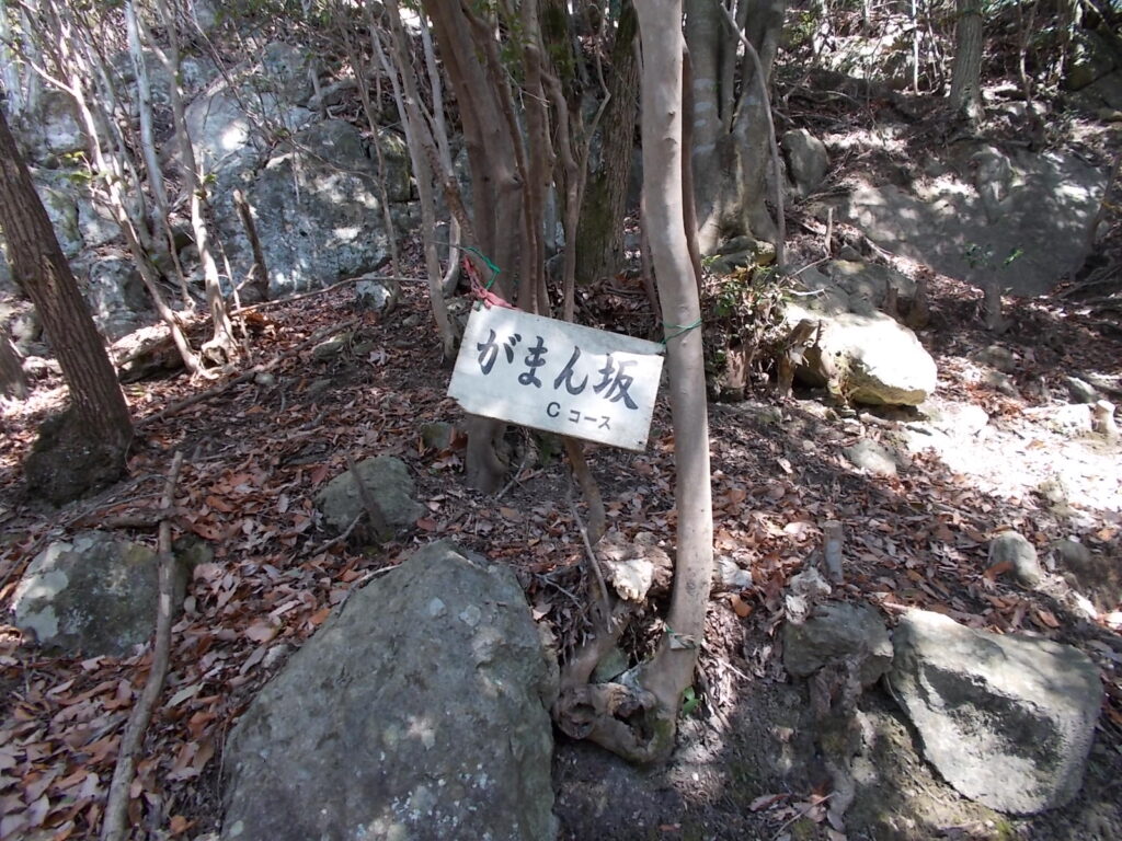 11:25 また上って、がまん坂だそうです。名前の通りなかなかきつい上りです。