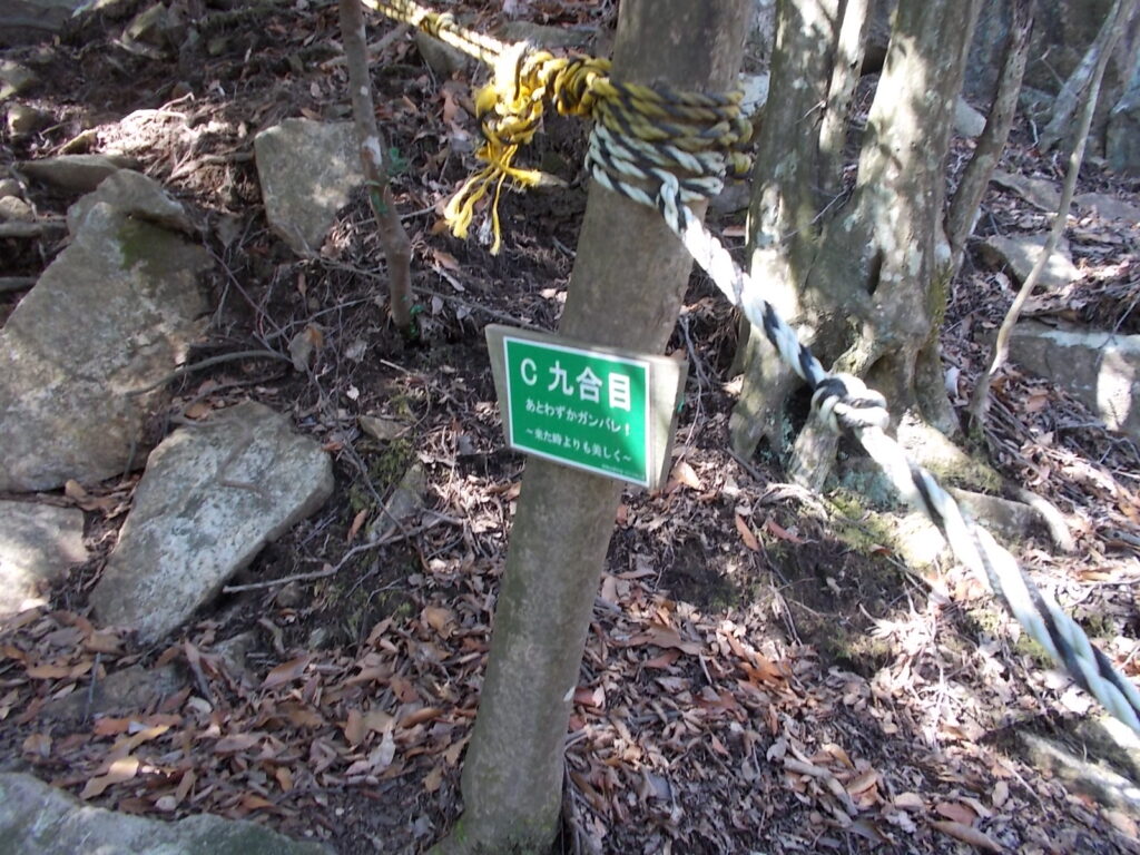 11:43 9合目です。あと少し。