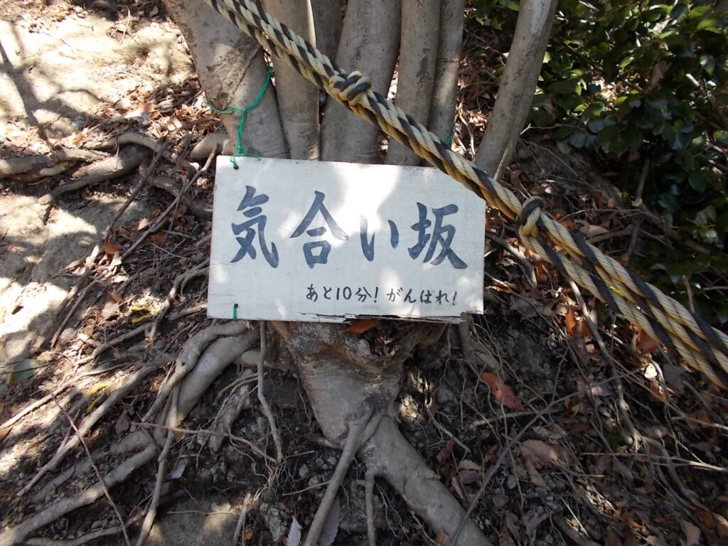 12:17 気合い坂。さらに激下りは続きます。