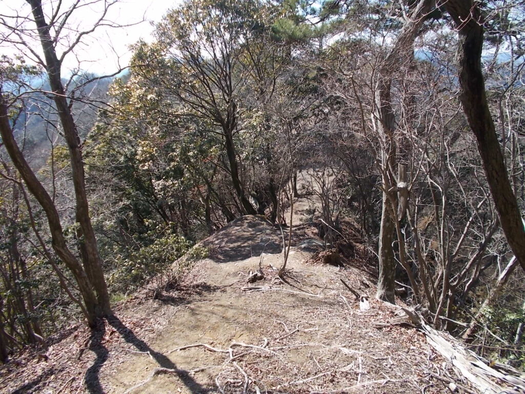 12:29 歩きやすい尾根