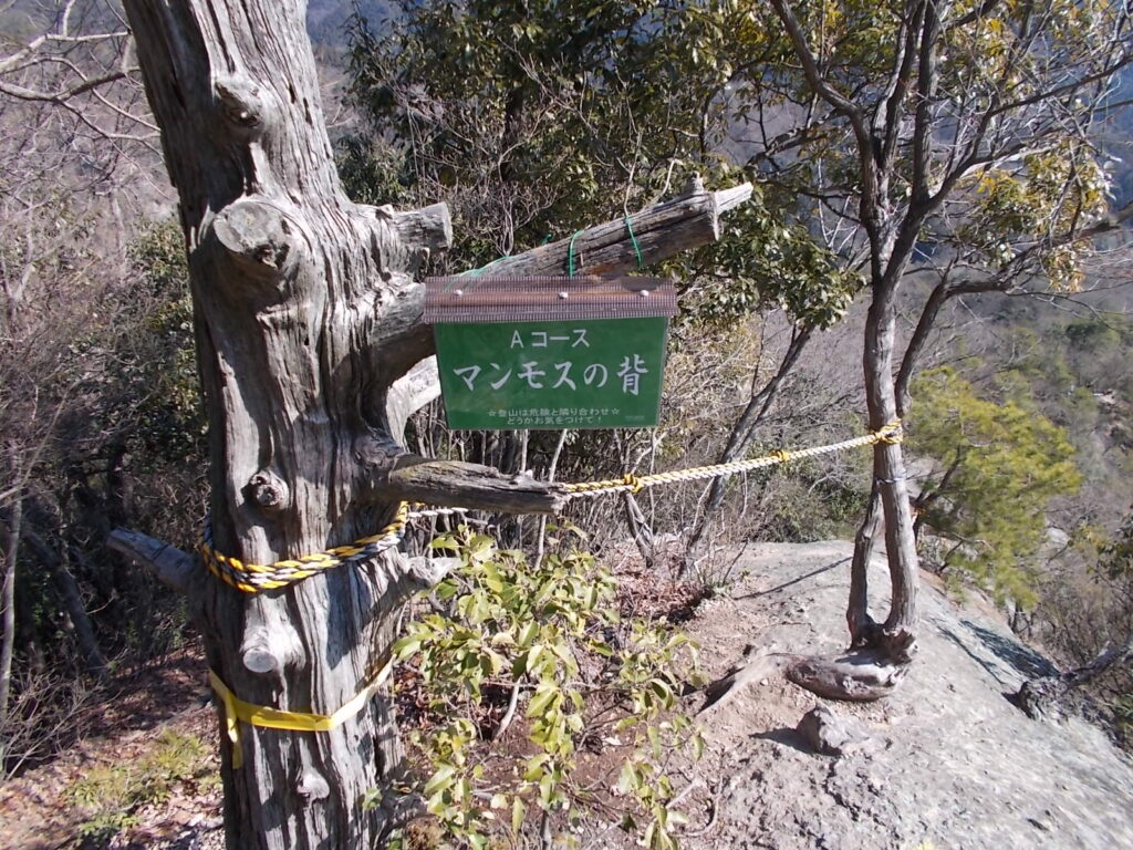 12:50 マンモスの背です。長い岩場になります。ロープ伝いにおりてください。