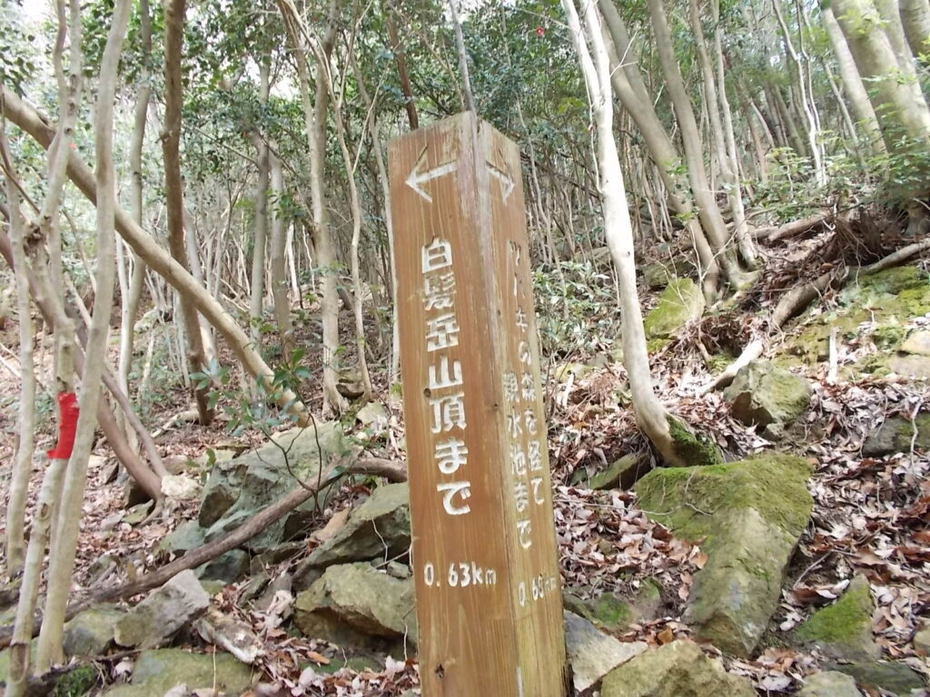 9:43 親水池への分岐。ここは左へ。