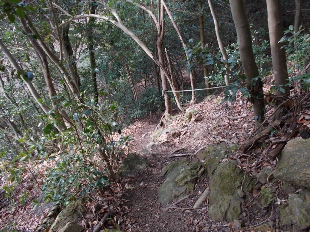 9:45 今度は急な下り。せっかく上ったのに。