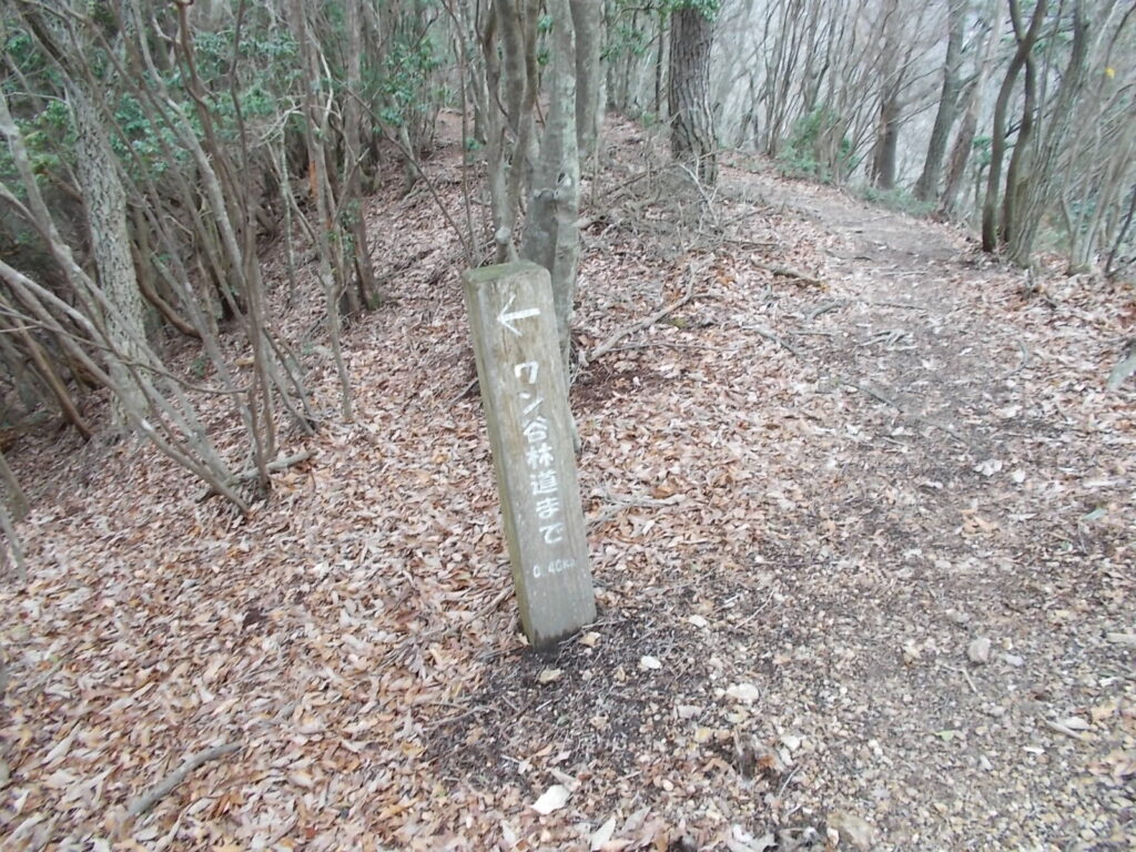 10:00 ワン谷林道への案内柱
