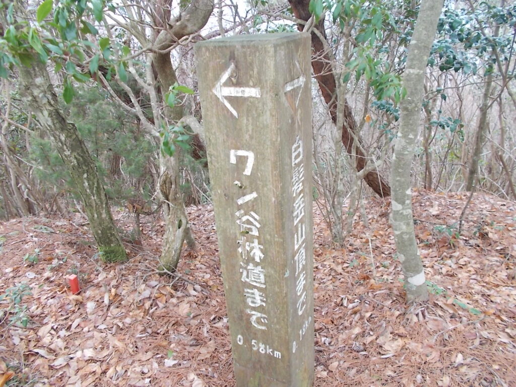 10:02 白髪岳への案内柱。表示されている距離がなんとなく合ってないような。