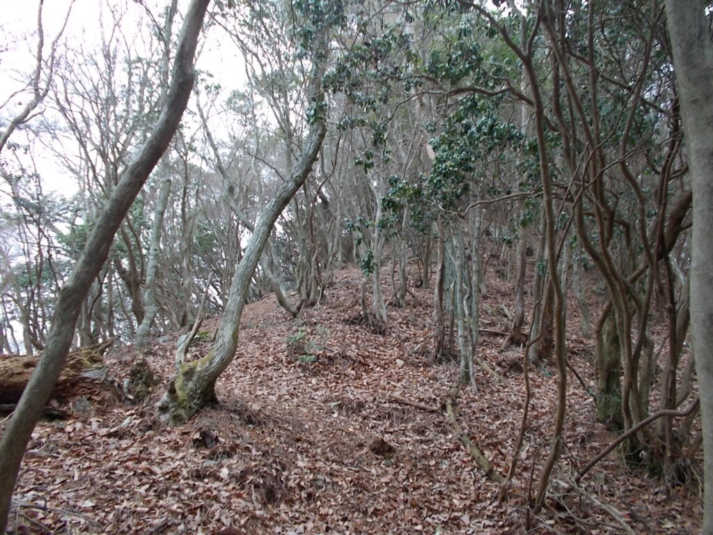 10:26 ここから少し急登になります。