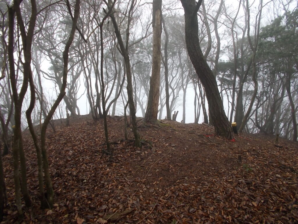 10:28 登りきるとピークにつきます。案内がないのでわかりにくいですが、写真の右奥へ進みます。左にも行けそうな道がありますが、間違えないように。