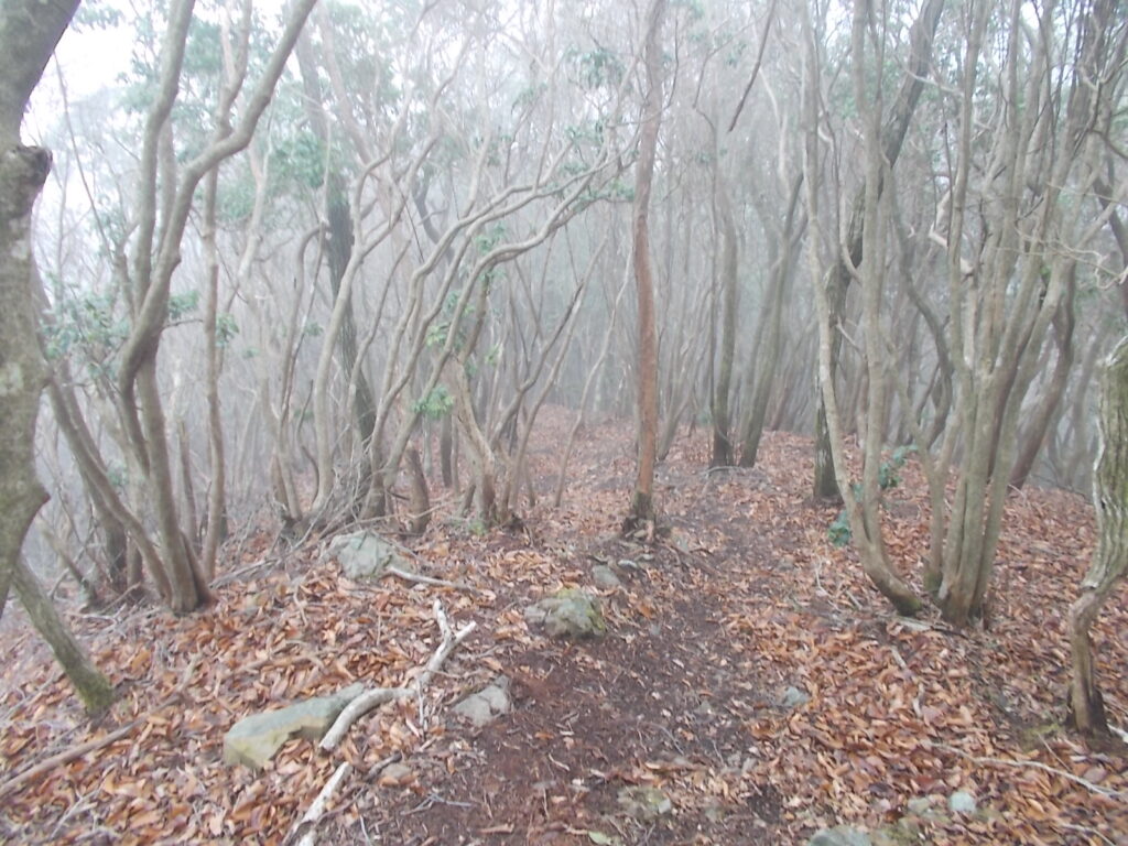 10:30 ピークからまた下ります。せっかく上ったのにねえ。