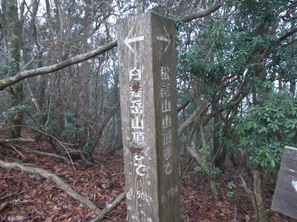 10:38 ようやく松尾山への案内柱がありました。