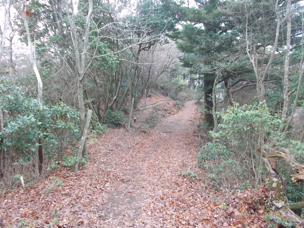 10:39 ここからしばらくは緩やかな登山道が続きます。