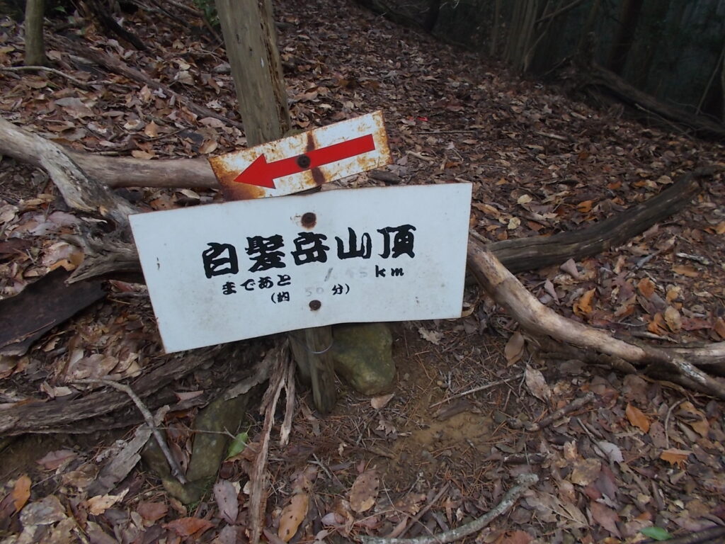 10:47 白髪岳への案内板。写真の左側にピークへの踏み跡がありますが、松尾山へは右へまっすぐです。