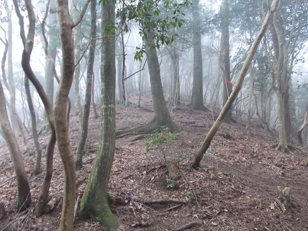 10:49 ここから山頂まで急な上りが始まります。