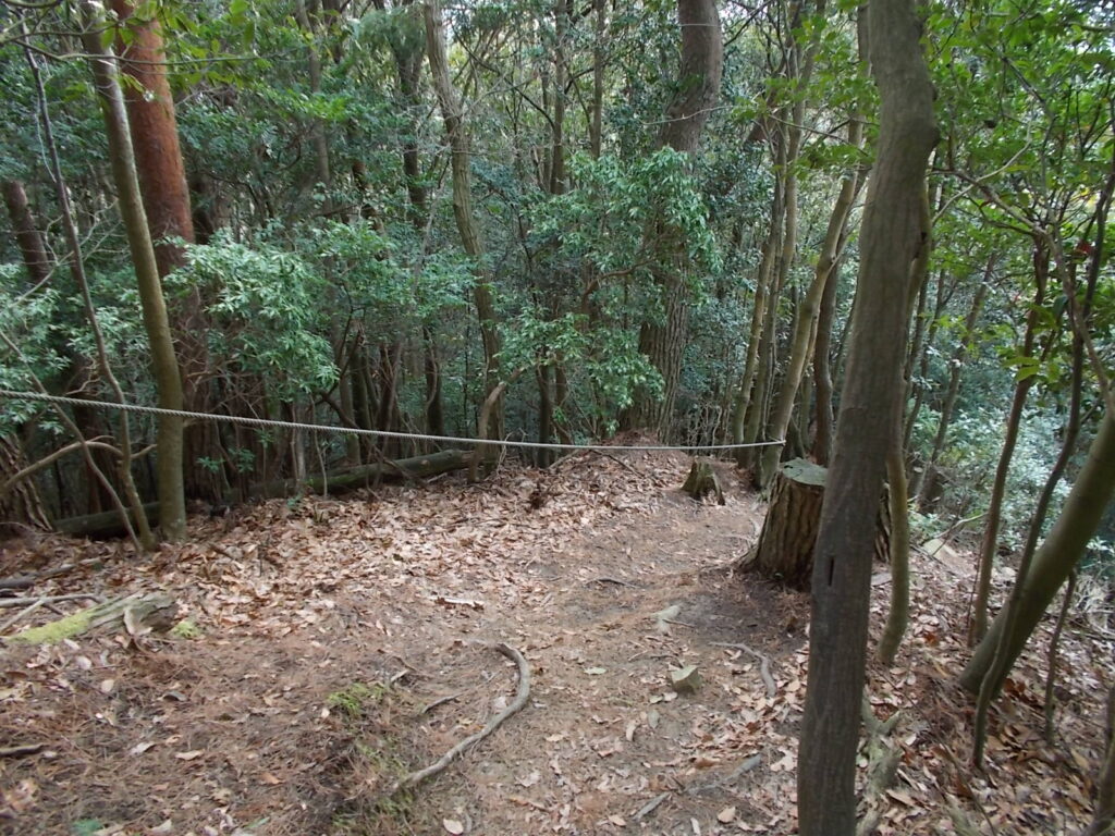 11:16 ここから急下りが始まります。