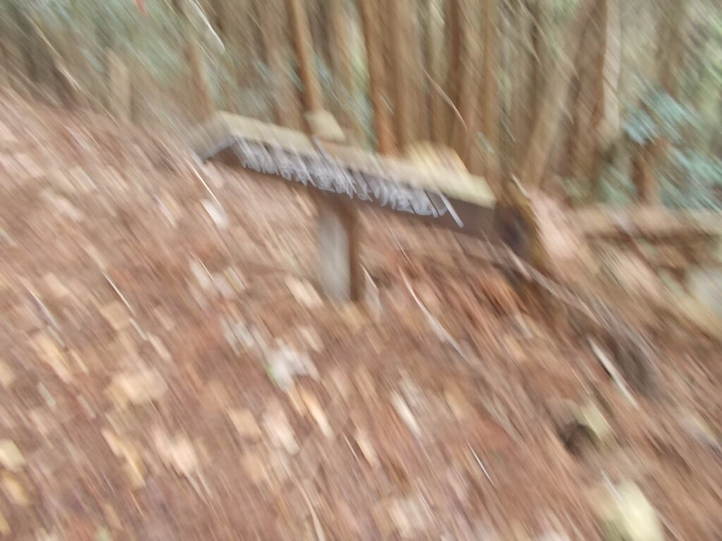 11:18 高仙寺跡から住山への案内板。えらいボケてますね。ここは左へ。