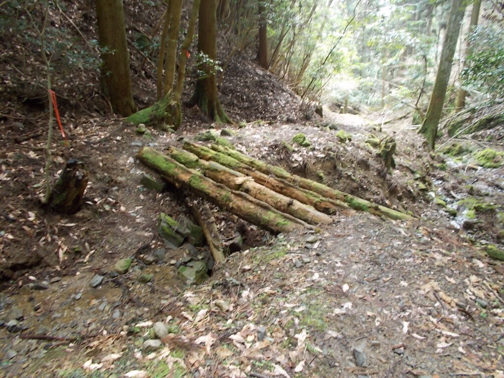 11:30 小さな流れを渡りますが、架けられている丸木橋は怖そうなので、流れに降りて渡りました。