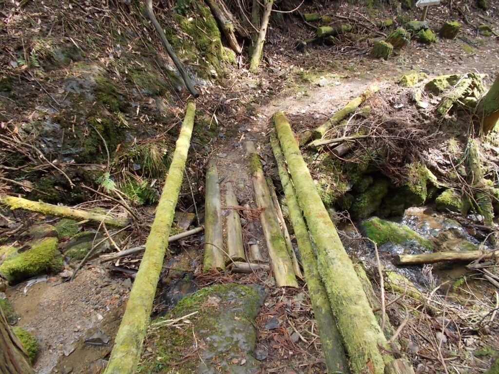 11:31 また流れを渡ります。この橋は通れました。