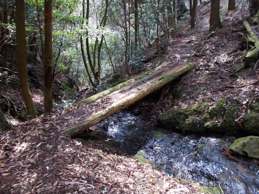 11:32 また渡ります。だいぶ流れがはっきりしてきました。