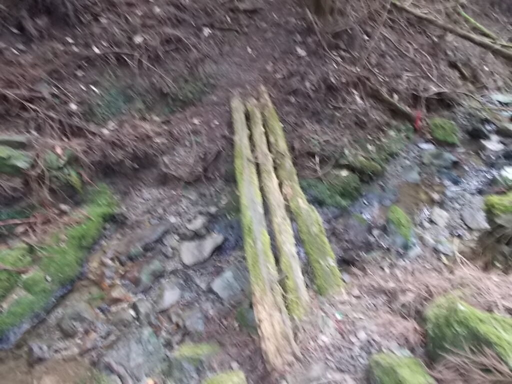 11:37 またまた渡りますが、この橋も怖そうなので、流れの中を。