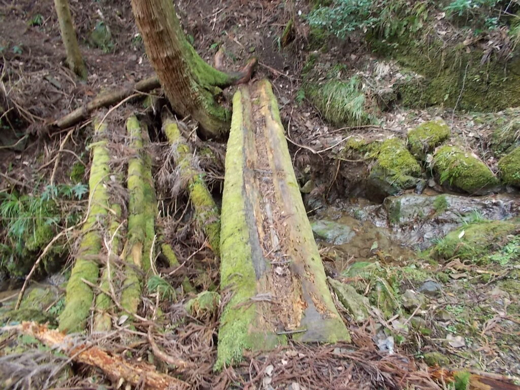 11:41 さらに渡ります。真ん中が朽ちて怖そうですが、通れました。