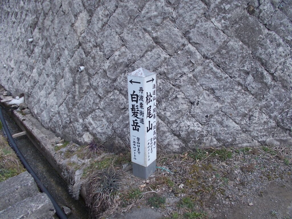 11:53 分岐に戻ってきました。