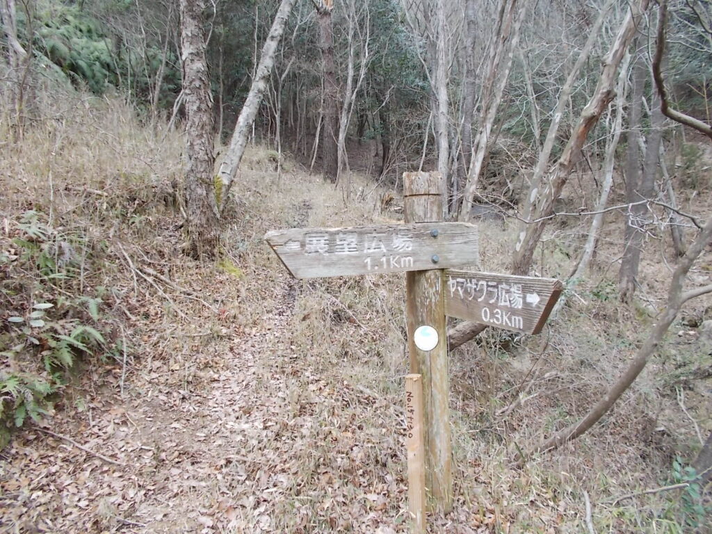 10：57　ここを左へ進みます。